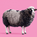 Op zoek naar….een nieuwe ABP-bestuurder!